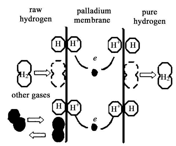 变成氢原子;(2) 膜表面上氢原子可逆溶解到致密钯膜中;(3) 氢原子在膜